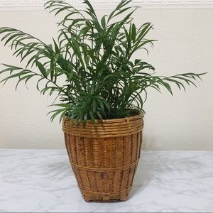 Vtg Wicker/Rattan/Bamboo Basket Planter